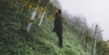 Weingut Wohlmuth