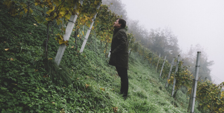 Weingut Wohlmuth
